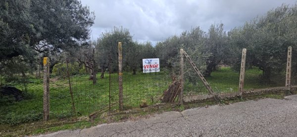 terreno agricolo in vendita ad Albano Laziale