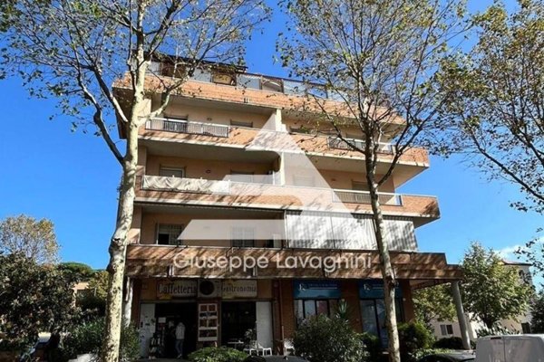 appartamento in vendita ad Albano Laziale