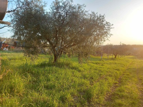terreno agricolo in vendita ad Albano Laziale in zona Cecchina