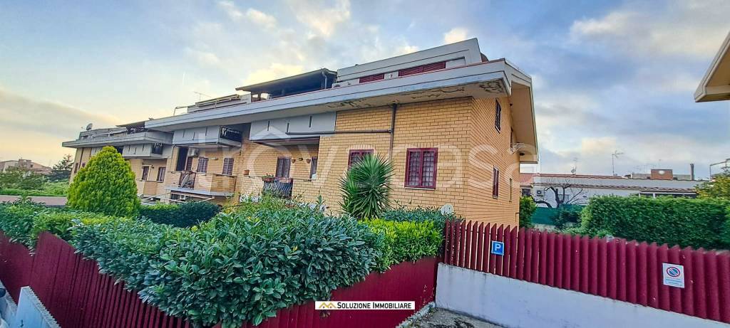 appartamento in vendita ad Albano Laziale in zona Cecchina