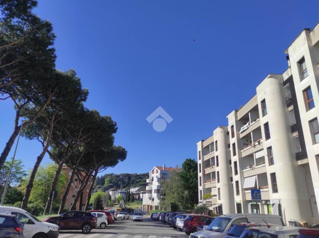appartamento in vendita ad Albano Laziale