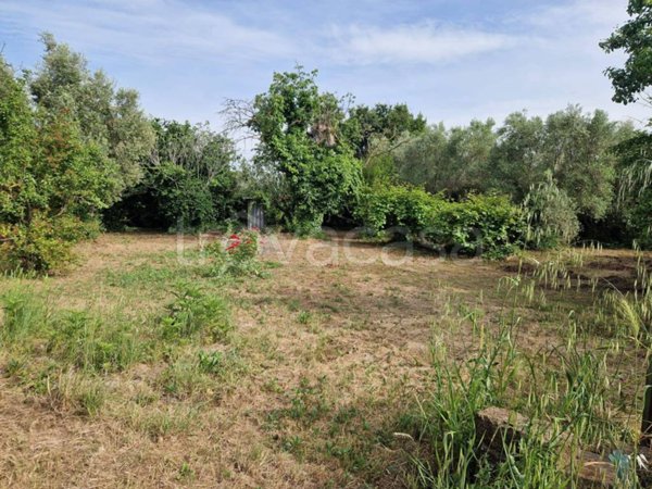 terreno agricolo in vendita ad Albano Laziale in zona Cecchina