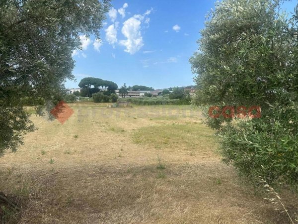 terreno agricolo in vendita ad Albano Laziale