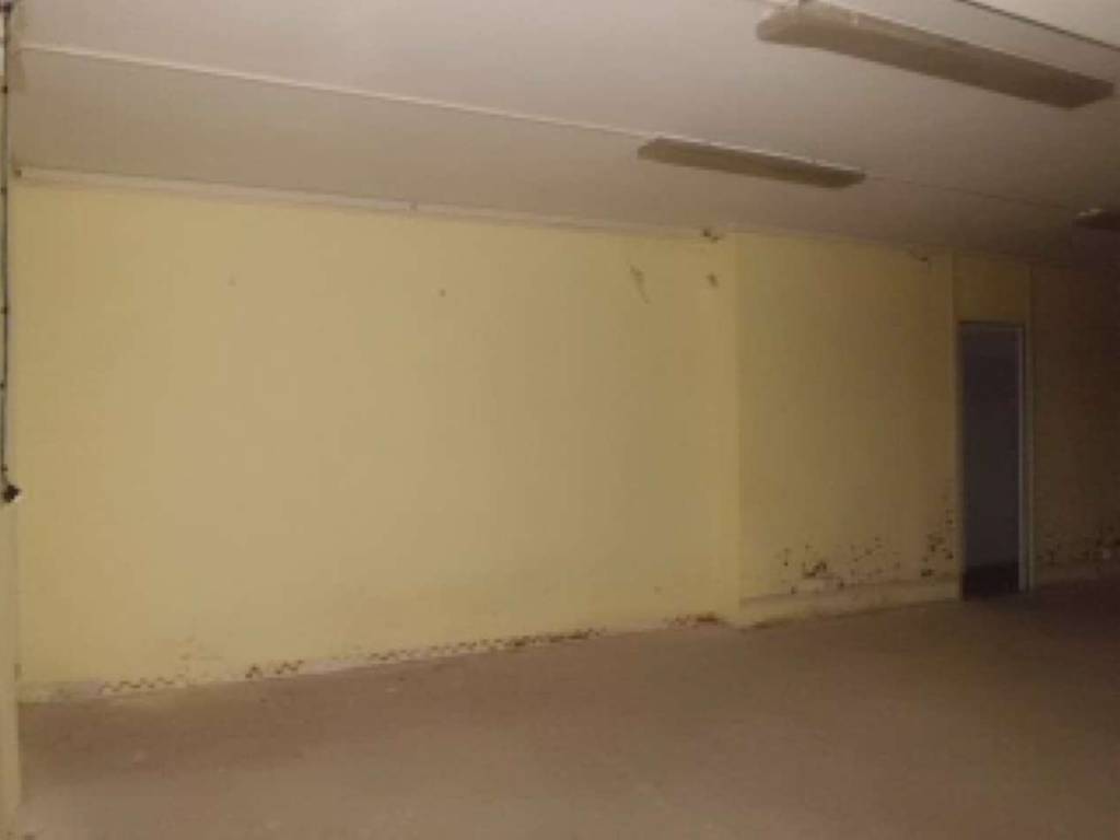 appartamento in vendita ad Albano Laziale in zona Pavona