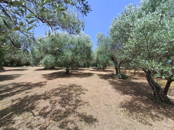 terreno agricolo in vendita ad Albano Laziale in zona Pavona