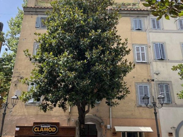 appartamento in vendita ad Albano Laziale