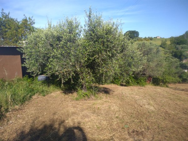 appartamento in vendita ad Albano Laziale