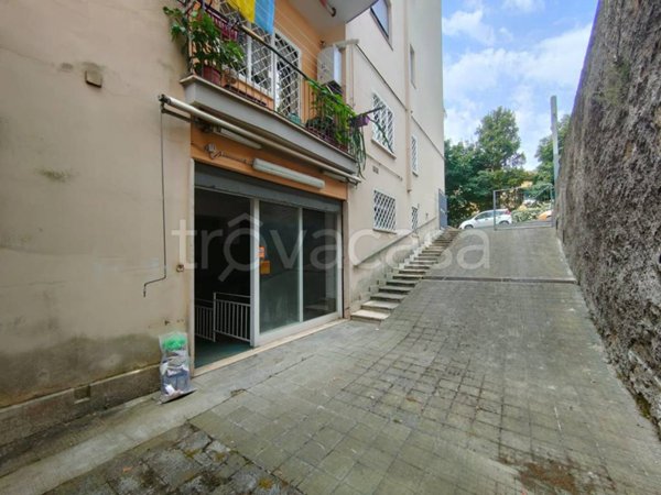 casa indipendente in vendita ad Albano Laziale