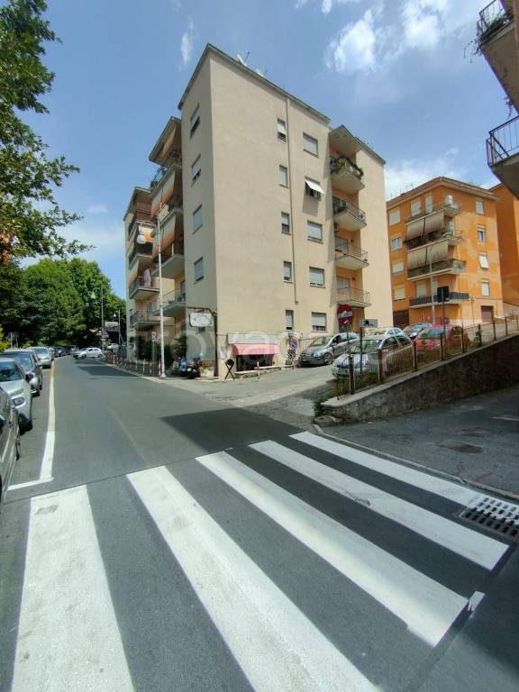 casa indipendente in vendita ad Albano Laziale