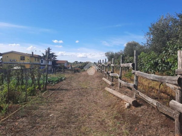terreno agricolo in vendita ad Albano Laziale in zona Cecchina