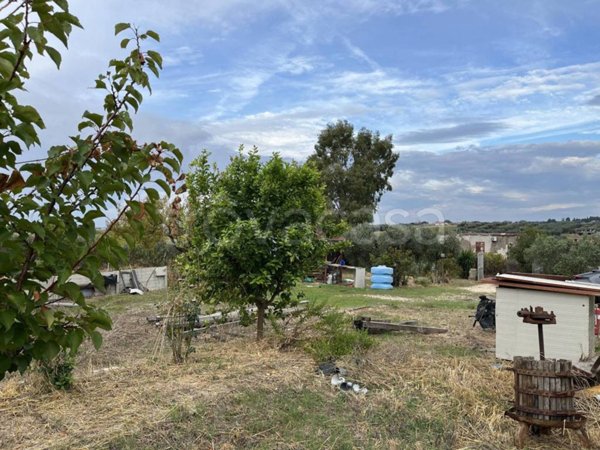 terreno agricolo in vendita ad Albano Laziale in zona Cecchina