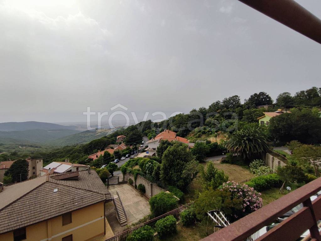 appartamento in vendita ad Allumiere