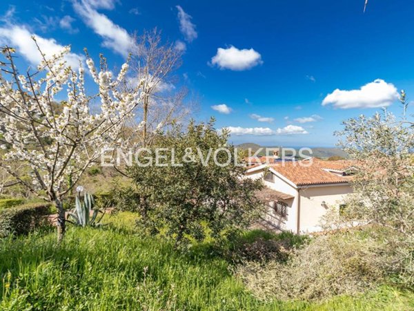 casa indipendente in vendita ad Allumiere