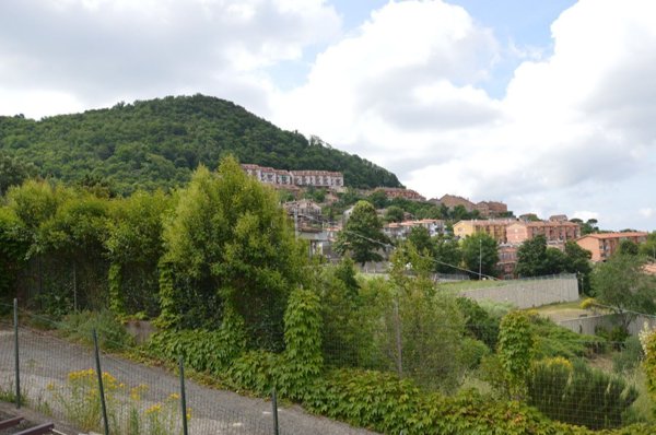 pentavano in vendita ad Allumiere