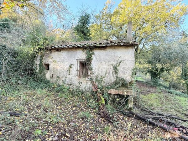 rudere in vendita ad Allumiere