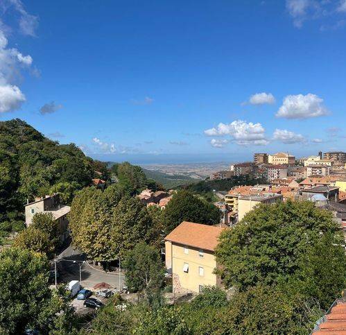 appartamento in vendita ad Allumiere