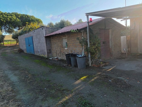 terreno agricolo in vendita ad Allumiere