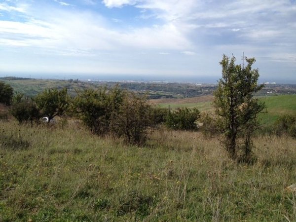 terreno agricolo in vendita ad Allumiere in zona Sant'Antonio