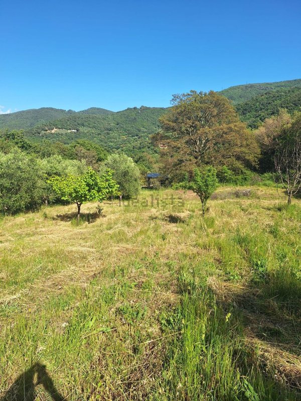 locale di sgombero in vendita ad Allumiere