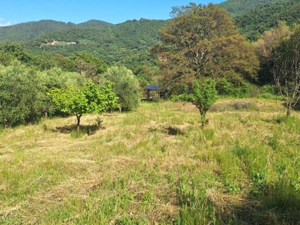 terreno agricolo in vendita ad Allumiere