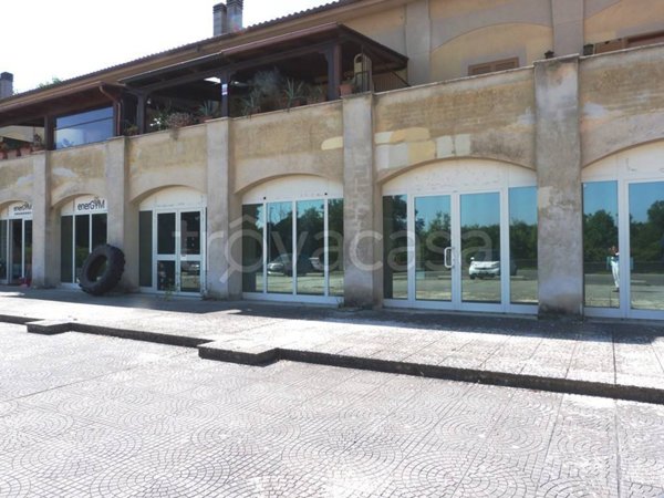 appartamento in vendita ad Anguillara Sabazia