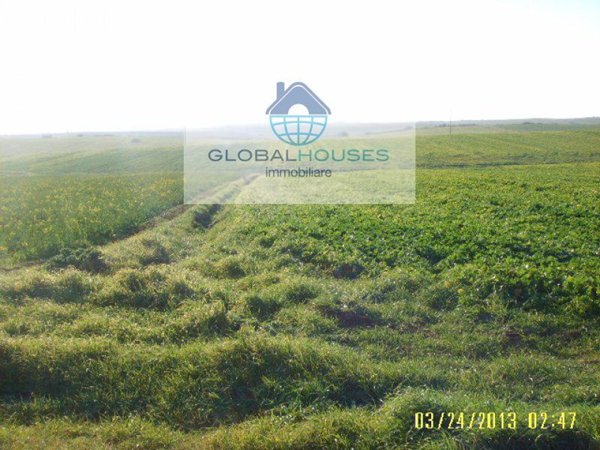 terreno agricolo in vendita ad Anguillara Sabazia