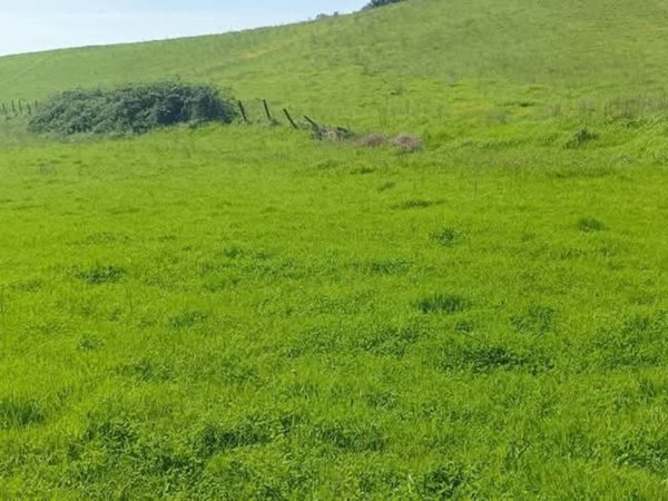 terreno agricolo in vendita ad Anguillara Sabazia