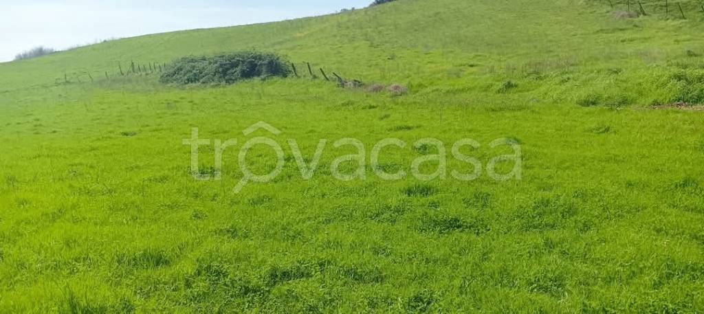 terreno agricolo in vendita ad Anguillara Sabazia