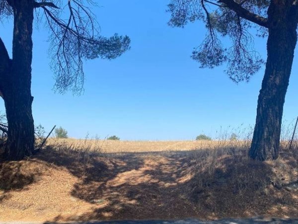 terreno agricolo in vendita ad Anguillara Sabazia