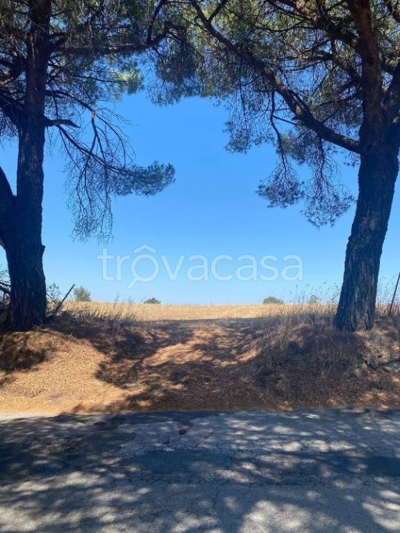terreno agricolo in vendita ad Anguillara Sabazia