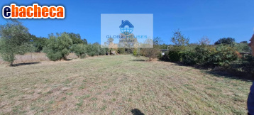 terreno agricolo in vendita ad Anguillara Sabazia