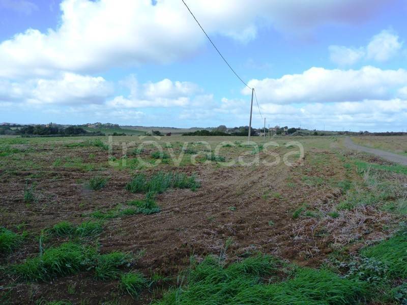 azienda agricola in vendita ad Anguillara Sabazia