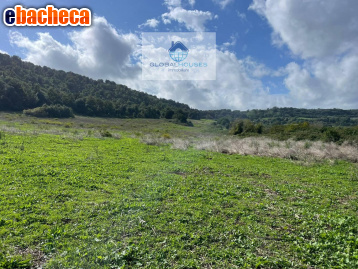 terreno agricolo in vendita ad Anguillara Sabazia