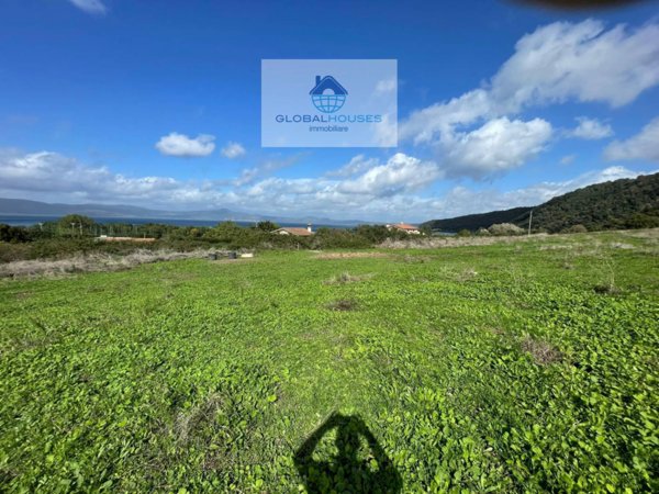 terreno agricolo in vendita ad Anguillara Sabazia