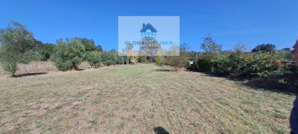 terreno agricolo in vendita ad Anguillara Sabazia