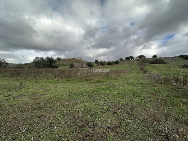 terreno agricolo in vendita ad Anguillara Sabazia