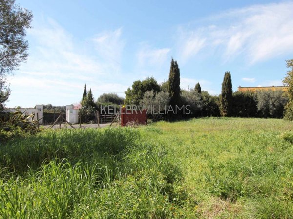 terreno agricolo in vendita ad Anguillara Sabazia