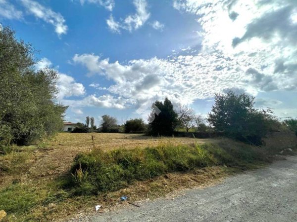 terreno agricolo in vendita ad Anguillara Sabazia