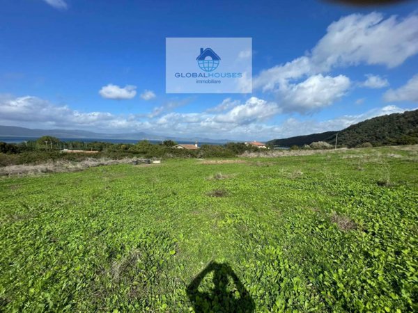 terreno agricolo in vendita ad Anguillara Sabazia