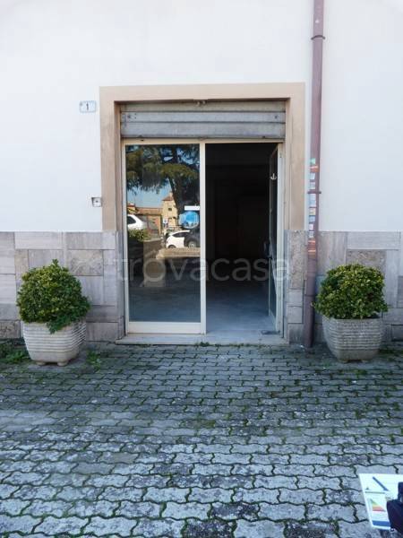 negozio in vendita ad Anguillara Sabazia