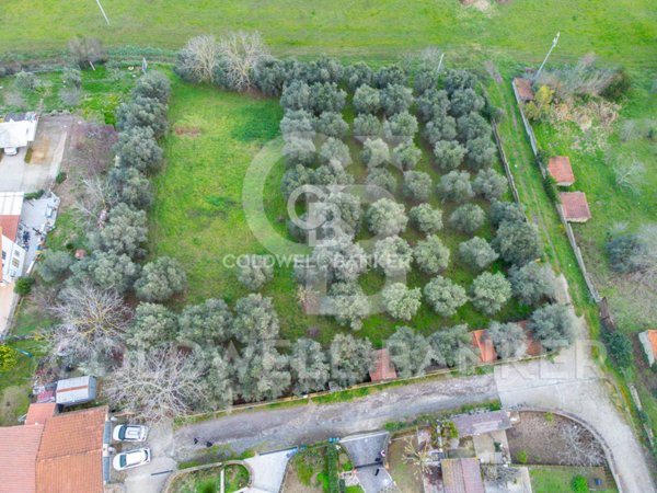 appartamento in vendita ad Anguillara Sabazia