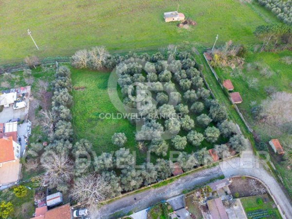 appartamento in vendita ad Anguillara Sabazia
