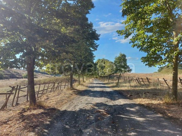 azienda agricola in vendita ad Anguillara Sabazia