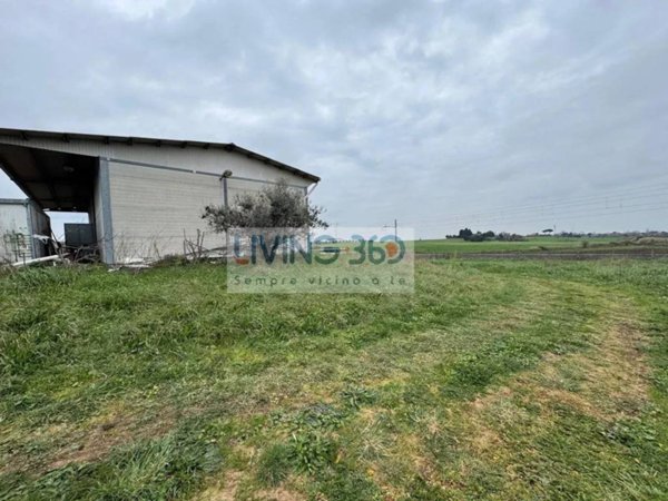 locale commerciale in vendita ad Anguillara Sabazia