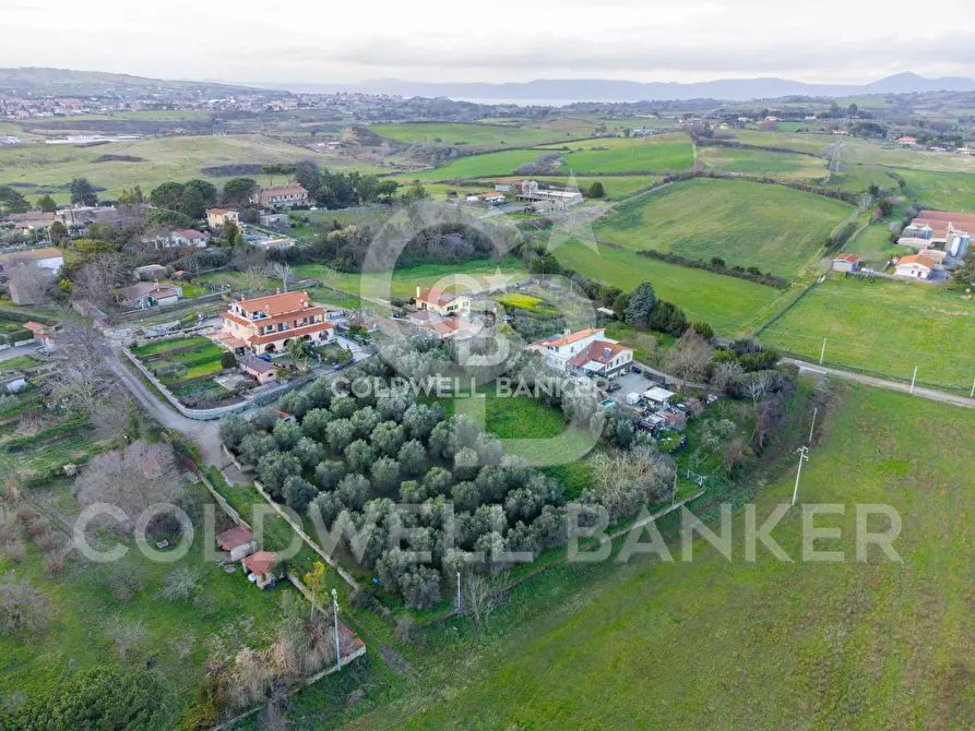 appartamento in vendita ad Anguillara Sabazia