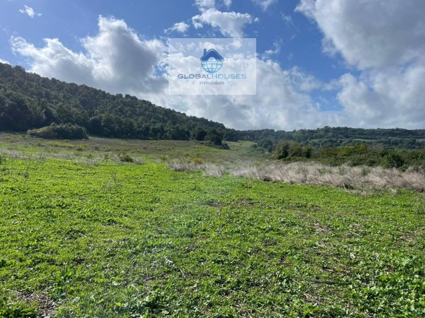 terreno agricolo in vendita ad Anguillara Sabazia
