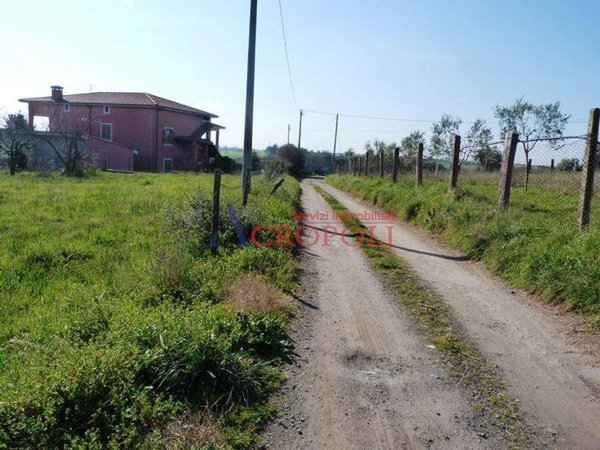 terreno agricolo in vendita ad Anguillara Sabazia