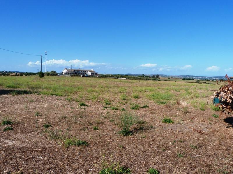 terreno agricolo in vendita ad Anguillara Sabazia
