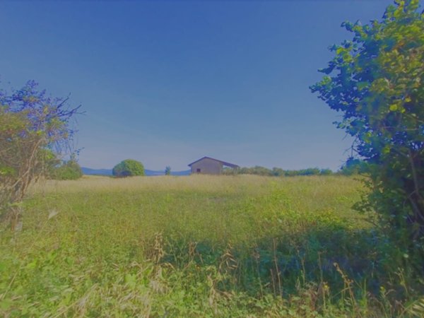 casa indipendente in vendita ad Anguillara Sabazia