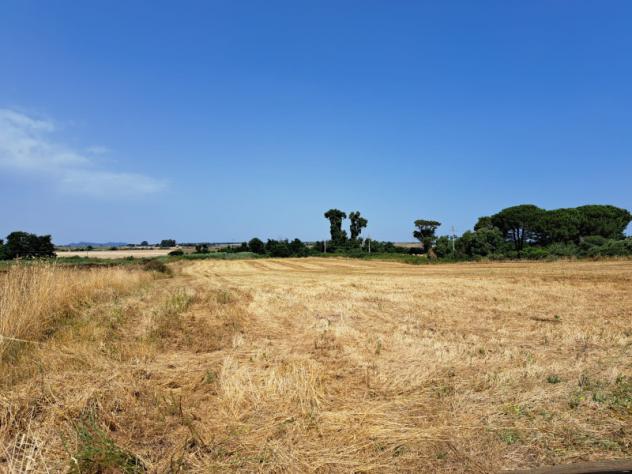 casa indipendente in vendita ad Anguillara Sabazia